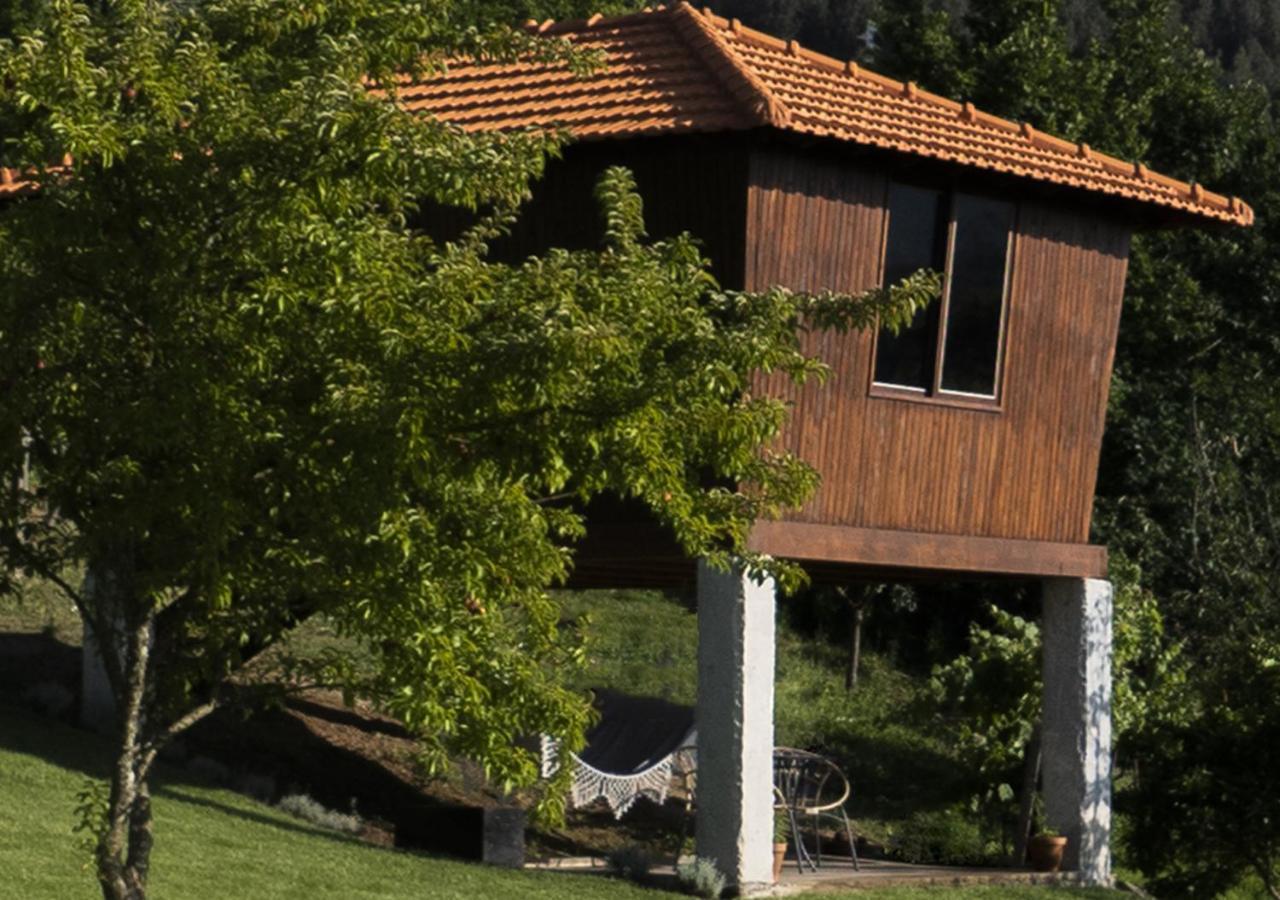 Cimo Da Vinha - Nature Spot Castelo de Paiva Εξωτερικό φωτογραφία
